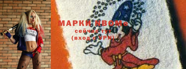 шишки Заволжье